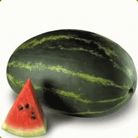 Cal Sweet Supreme Watermelon